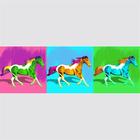 Pop Art 3 Panels from Photos - myDaVinci